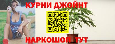 сатива Краснознаменск