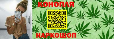 сатива Краснознаменск