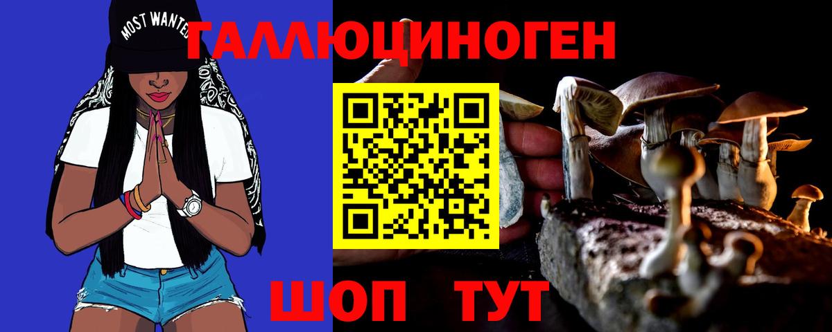 Псилоцибиновые грибы мухоморы Елизово